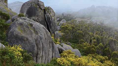 2017 Endemism Hotspots special issue cover image