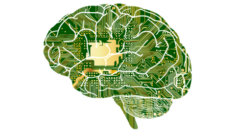 brain oxford academic