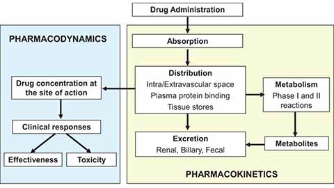 European Heart Journal - Cardiovascular Pharmacotherapy | Oxford Academic