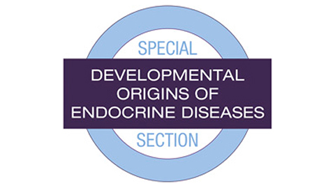 Special Section: Developmental Origins of Endocrine Diseases