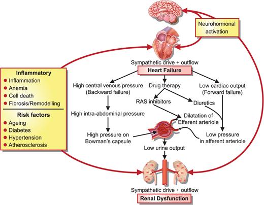 Prevention | European Heart Journal | Oxford Academic