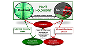 plant microbial diversity