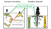 paleosymbiosis hypothesis
