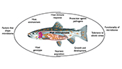 fish microbial communities