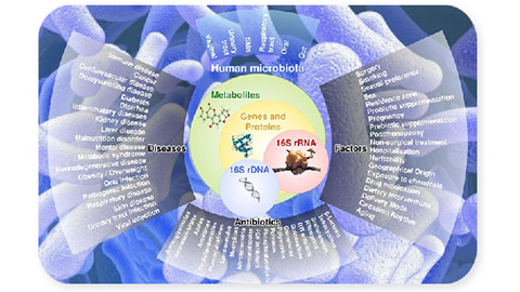 Exploring the human microbiome