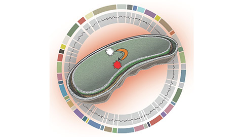 Novel approaches in function-driven single-cell genomics