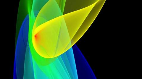 Synchronization between extracellular H+ flux and growth in Arabidopsis pollen tubes