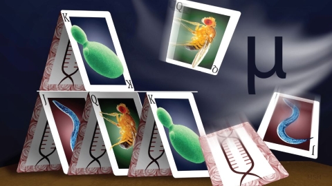 Cover image, Volume 32, Issue 8