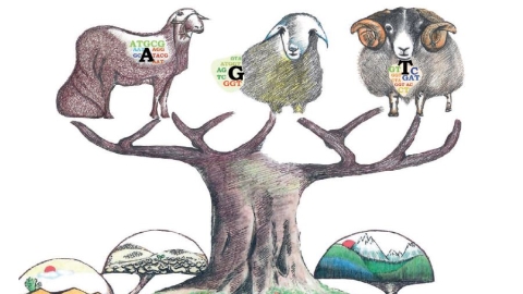 Cover image, Volume 33, Issue 10