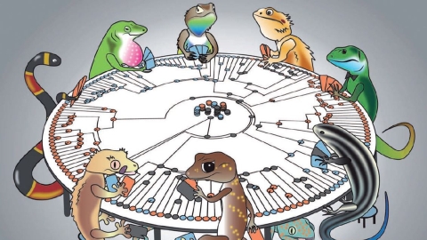 Cover image, Volume 32, Issue 5