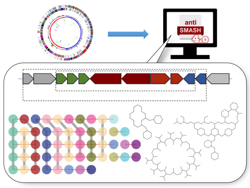 Graphical Abstracts Examples Nucleic Acids Research Oxford Academic Nucleic Acids
