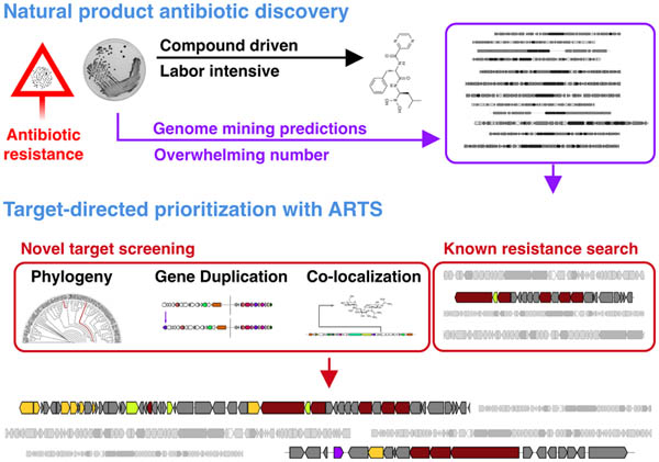 Graphical Abstracts - Examples | Nucleic Acids Research | Oxford ...