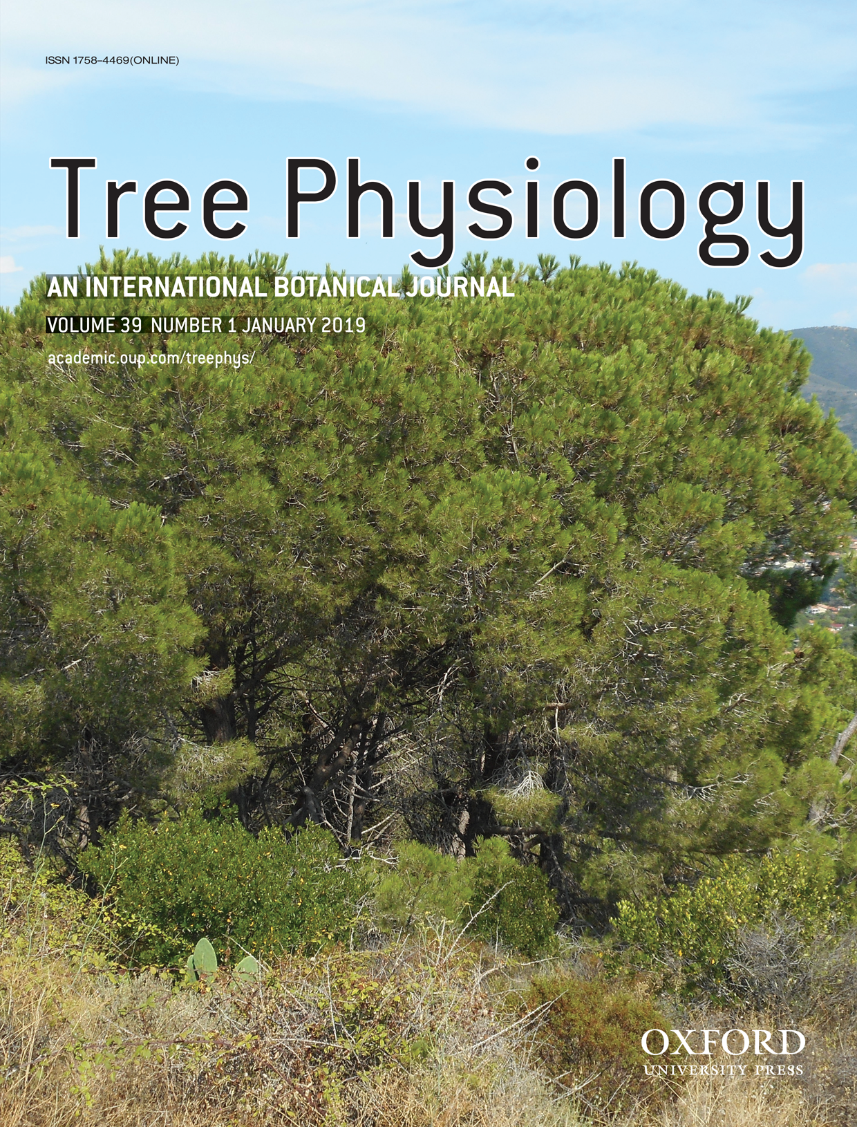Tree Physiology Oxford Academic