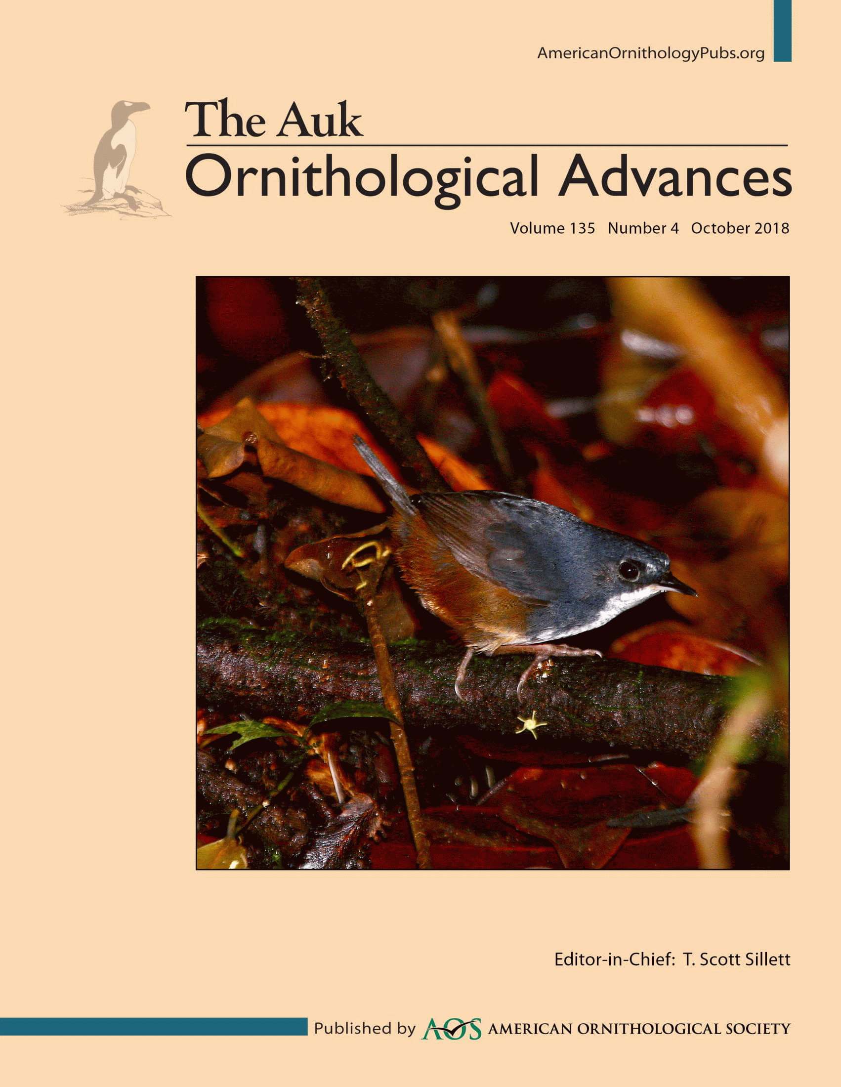 The Auk: Ornithological Advances