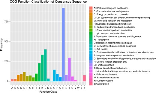 COG function classification of differentially expressed genes The function categories are listed on the right.