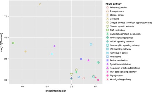 KEGG pathway enrichment of differentially expressed genes The top right corner shows the most enriched KEGG pathways.