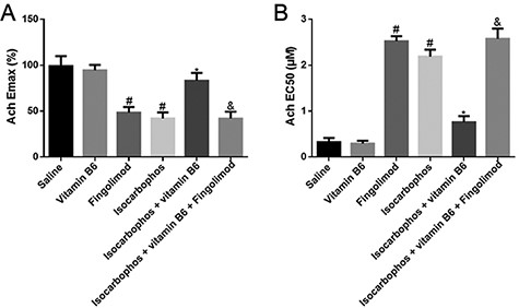 EDR measurement Ach-induced Emax (A) and EC50 (B) of posterior cerebral artery in different treatment groups. n=8. #P<0.05 vs Saline group; *P<0.05 vs Isocarbophos group; &P<0.05 vs Isocarbophos+Vitamin B6.