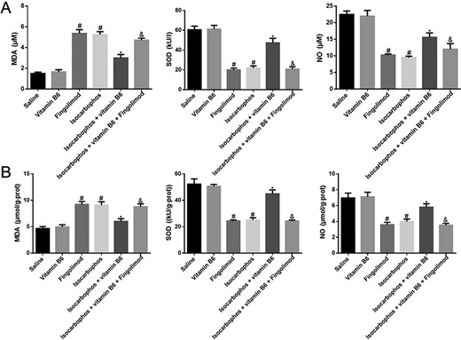 Quantification of the NO content, SOD activity, and MDA content in plasma blood and vascular tissue (A) Plasma oxidation indexes in offspring rats. (B) Oxidative indexes of vascular tissue in offspring rats. n=8. #P<0.05 vs Saline group; *P<0.05 vs Isocarbophos group; &P<0.05 vs Isocarbophos+Vitamin B6.