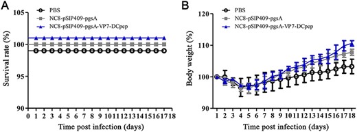 Oral immunization with NC8-pSIP409-pgsA-VP7-DCpep has promising protection against PRV challenge (A) Percent survival and (B) body weight changes of mice after infection.