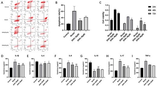 Effect of DHA on in vitro co-culture model (A,B) Apoptosis rate of Caco-2 cells in four groups of co-cultured inflammation models in vitro. (C) Cell viability of Caco-2 cells in four groups of co-cultured inflammation models in vitro. (D-I) The levels of IL-1β, IL-4, IL-6, IL-10, IL-17, and TNF-α in the basolateral side cell supernatant in four groups of co-cultured inflammation models in vitro. Data are presented as the mean±SD. *P<0.05, **P<0.01, ***P<0.001 vs control group. #P<0.05, ##P<0.01, ###P<0.001 vs Model group.