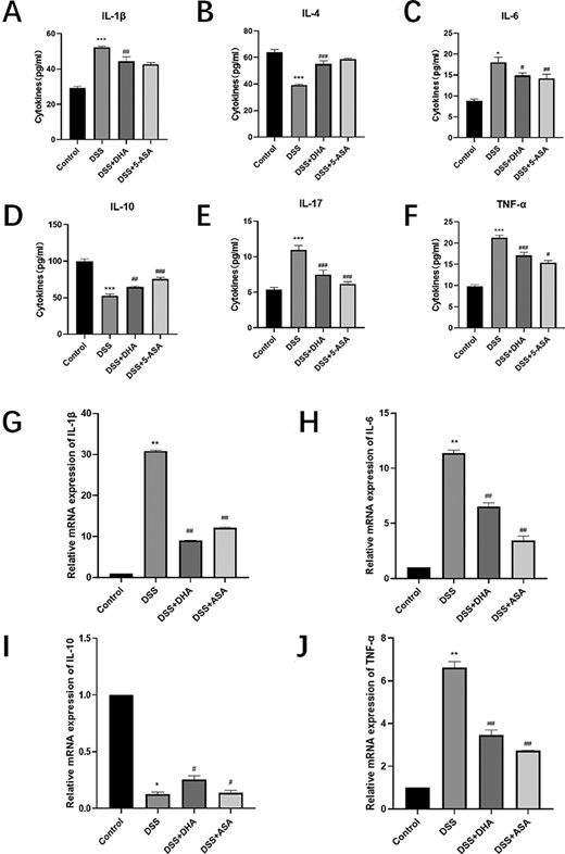 Effect of DHA on the production and expressions of DSS-induced colitis cytokines (A–F) Concentrations of IL-1β, IL-4, IL-6, IL-10, IL-17, and TNF-α in peripheral blood serum of four groups of mice. (G–J) The relative expression of IL-1β, IL-6, IL-10, and TNF-α mRNAs in the four groups of mice colon tissue homogenates. Data are presented as the mean±SD. *P<0.05, **P<0.01, ***P<0.001 vs control group. #P<0.05, ##P<0.01, ###P<0.001 vs DSS group.