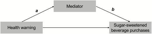 Mediation model.