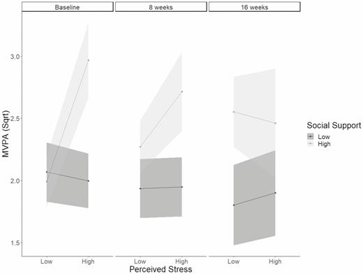 Interaction between perceived stress and social support on moderate-to-vigorous physical activity (Sqrt) at baseline, 8 weeks, and 16 weeks.