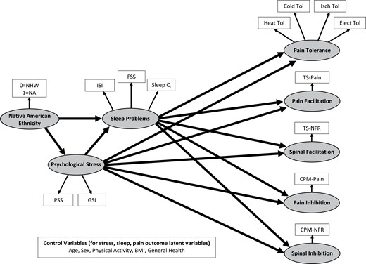 Proposed measurement and structural model for the current study.
