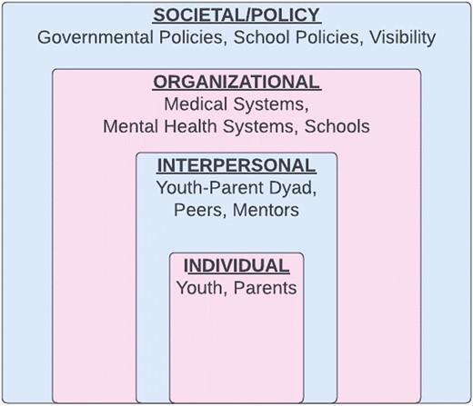 Recommendations to support Black and Latine Transgender/Nonbinary Youth by socio-ecological level