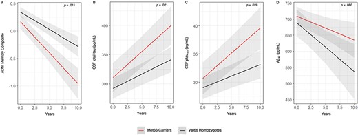 Rates of Change in (A) CSF t-tau, (B) ptau181, (C) Aβ42, and (D) Episodic Memory (Measured by the ADNI Memory Composite) Over 10 Years in Non-Demented Older Adult Aβ+ Met66 Carriers and Val66 Homozygotes, Adjusted for CSF Aβ42 (Except for the CSF Aβ42 Outcome), APOE ε4 Status, Sex, Age, Baseline Diagnosis, and Years of Education.