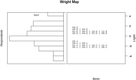 Wright map: the distribution of person abilities (on the left) and item difficulties (on the right).