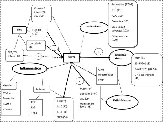retinol binding protein 4 in relation to diet inflammation retinol binding protein 4 in relation to diet inflammation immunity and cardiovascular diseases advances in nutrition oxford academic
