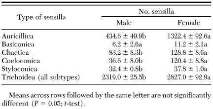 Mean ± SE number of sensilla on the ventral surface of male and female dogwood borer antennae