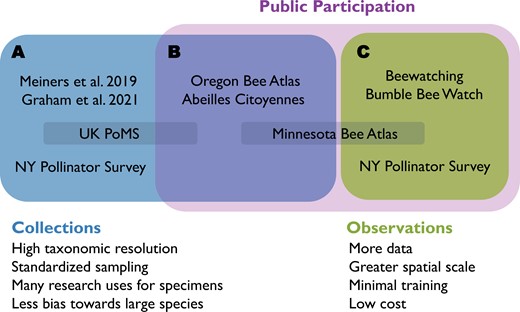 A conceptual illustration of the different types of bee biodiversity monitoring programs and the strengths of different approaches. A) Monitoring studies that utilize lethal collections done entirely by professional scientists (Meiners et al. 2019, Graham et al. 2021). B) Bee monitoring programs that rely on participants from the public to conduct state-wide collections of bees such as the Oregon Bee Atlas (Best et al. 2022) and Abeilles Citoyennes (Citizen Bees) in Québec (Rondeau et al. 2023). C) Bee monitoring approaches that use observations (typically photographs) from the public such as Beewatching (Flaminio et al. 2021) and Bumble Bee Watch (MacPhail et al. 2020). Some bee monitoring programs do not easily fit into only one of these 3 categories. For example, the UK Pollinator Monitoring Scheme (PoMS) utilizes collections done by professional scientists and also volunteers (O’Connor et al. 2019). A study from the Minnesota Bee Atlas involved data collection from the public through iNaturalist as well as lethal sampling from nest traps (Satyshur et al. 2023). And finally, the New York Pollinator Survey also utilized data from iNaturalist but also had a paid field crew who conducted extensive collections across the state (Schlesinger et al. 2023). At the bottom of the figure, we list some of the relative strengths associated with monitoring using collections and observations.