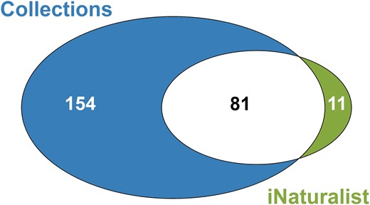 Venn diagram showing the number of bee species that are unique to our collections dataset (left), found in both datasets (center), and found just in the iNaturalist data (right). Size of ovals are scaled by the numbers. Collections had a total of 235 species compared to 92 species with iNaturalist.