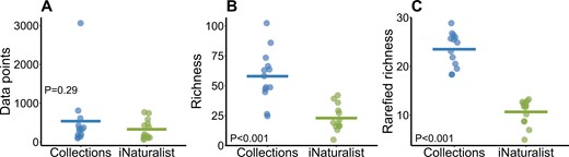 Differences in the number of data points and number of species based on county-level comparisons between each bee monitoring program using 13 counties that had at least 50 data points in each dataset. A) The total number of bees collected or the number of photo observations submitted between August 2021 and December 2023, B) the number of species recorded in each county, and C) rarefied richness based on a sample size of 50 bees. P-values are from paired t-tests.