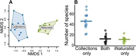 Differences in community composition using data from 13 counties that had at least 50 data points in each dataset. A) Non-metric multidimensional scaling ordination showing that bee community compositions were significantly different (perMANOVA, P < 0.001, R2 = 0.35). B) The number of species from each county that were found only in collection, in both datasets, or only in iNaturalist data. These numbers are analogous to those from the Venn diagram (Fig. 4) but at the county instead of state level. Collections had 4.2 times more unique species per county than iNaturalist (t14.3 = 7.5, P < 0.001).