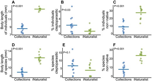 County-level comparisons of natural history traits using 13 counties that had at least 50 data points in both our collections and the iNaturalist datasets. Points are average for a single county and horizontal lines are mean. A) Body length, using a single species average, applied to each individual in the datasets, B) the % of individuals which are a species known to be cleptoparasitic, C) the % of individuals that are a non-native species in Pennsylvania, D) average body length of species, E) % of species which are cleptoparasitic, and F) the % of species in datasets which are non-native in Pennsylvania. P-values are from paired t-tests.
