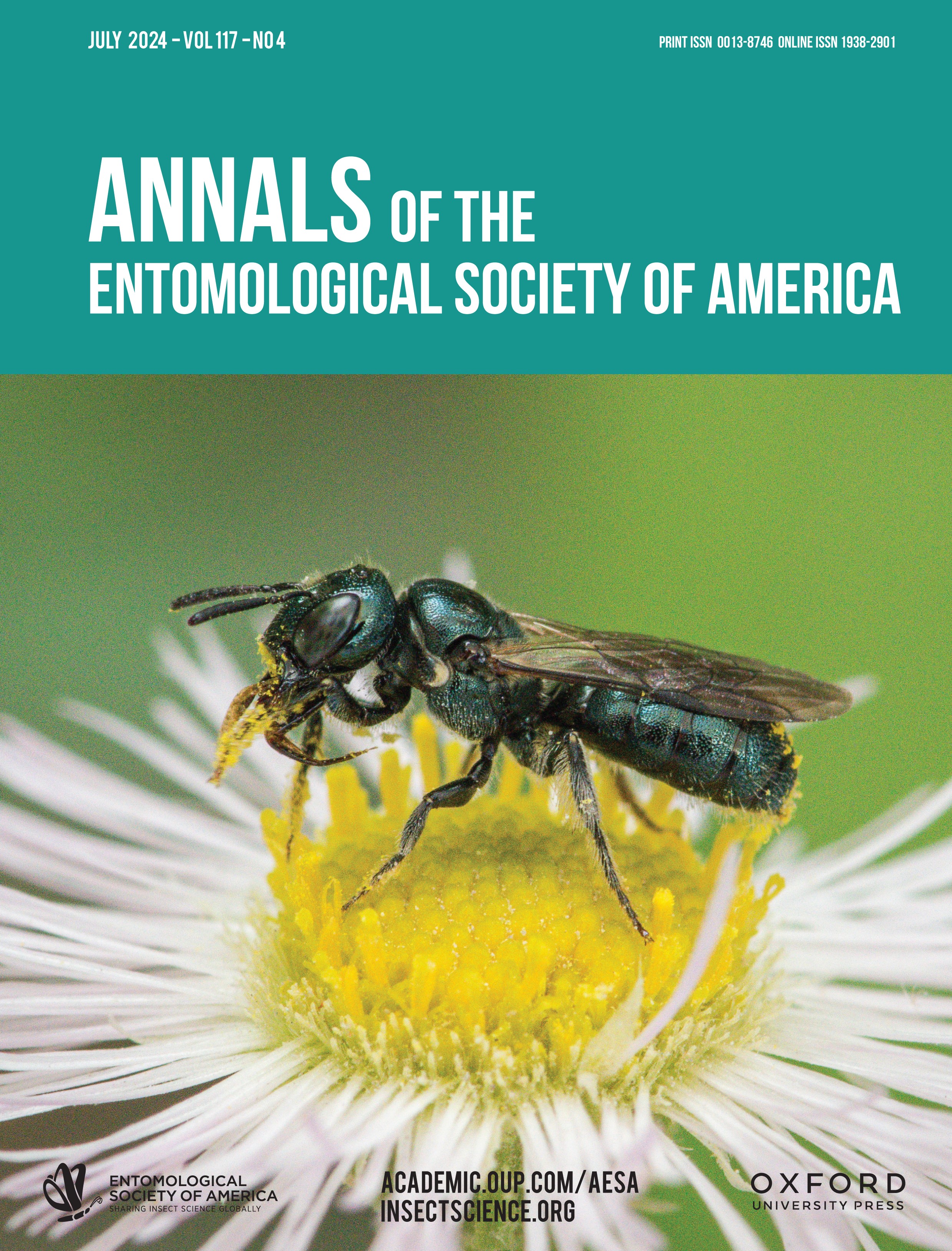 issue cover