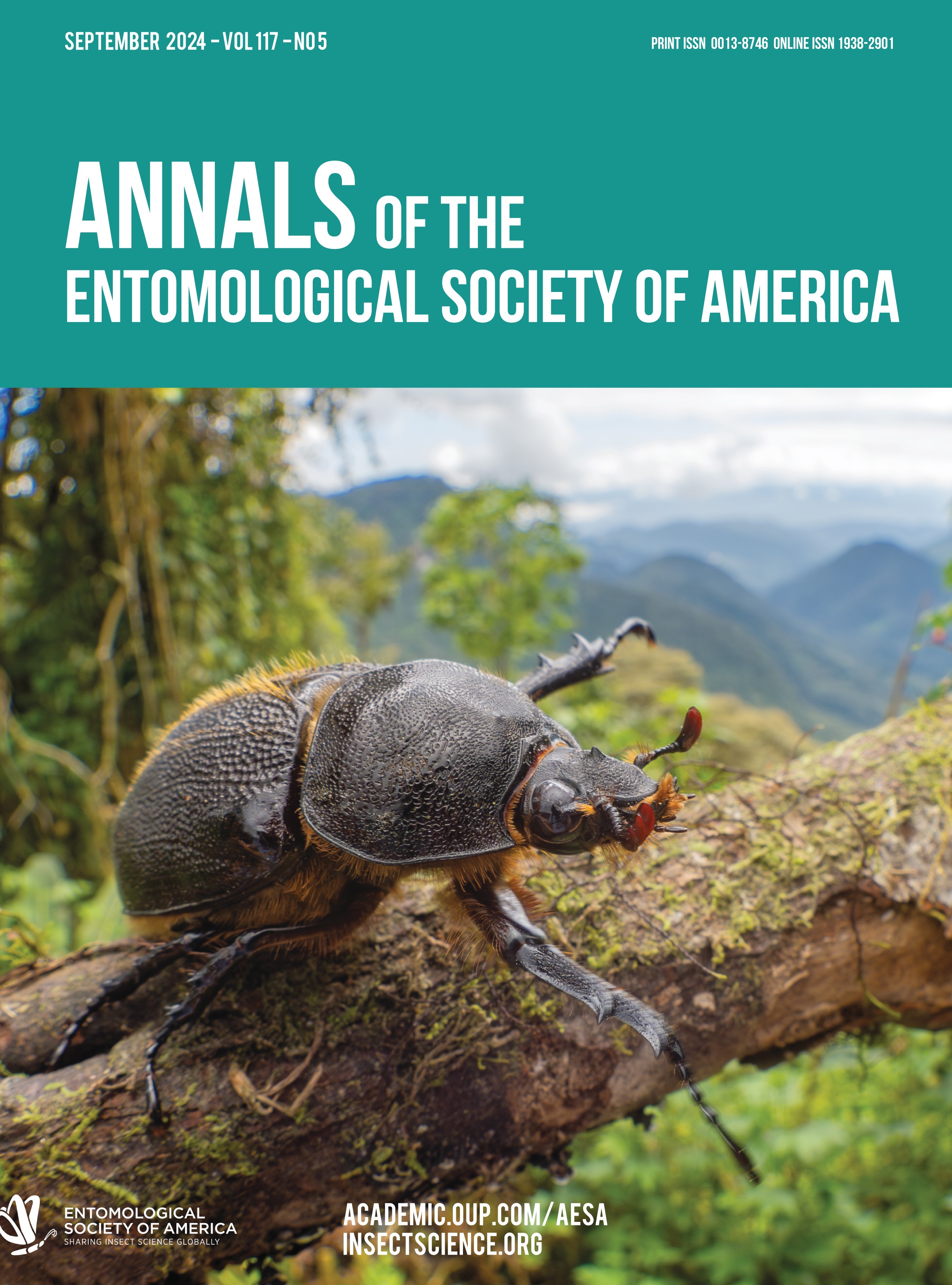 issue cover