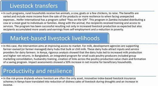 Livestock-related interventions and impact on economic development (based on the study by Staal et al., 2019).