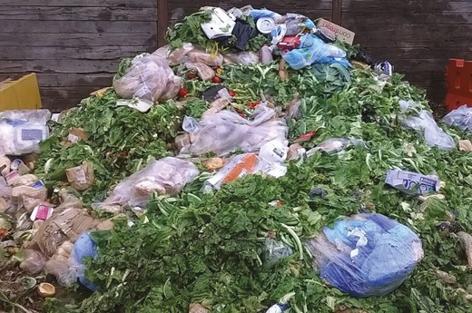 Waste received from a local supermarket for processing as a substrate for black soldier fly larvae BSFL rearing.