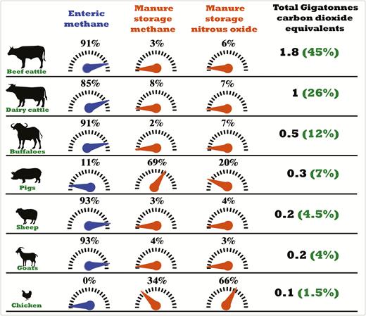 Greenhouse gases incidence of enteric fermentation and manure storage by animal type, expressed as Gigatonnes of carbon dioxide equivalents. Data referred to 2010 (FAO, 2017).