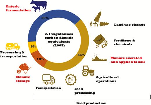 Livestock emissions by source (adapted from Gerber et al., 2013). Direct livestock emissions are shown in red.