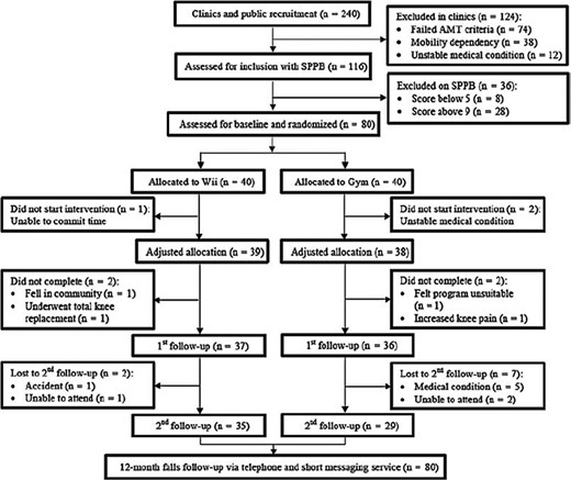 Recruitment and attrition rates in an RCT of WiiActive exercises in community dwelling older adults [7].