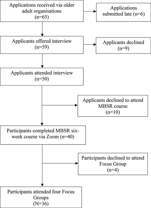 Flowchart for the number of participants who completed each phase of the study and attrition.