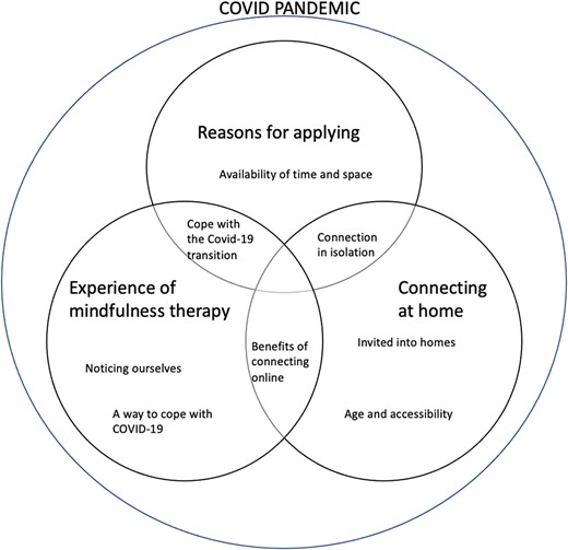 Themes and subthemes and the relationship between them in the context of COVID-19.