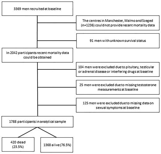 Flowchart of participants.