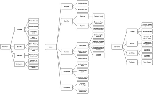 Coding tree depicting major themes identified for telephone visits, video visits and eConsults based on free-text survey responses.