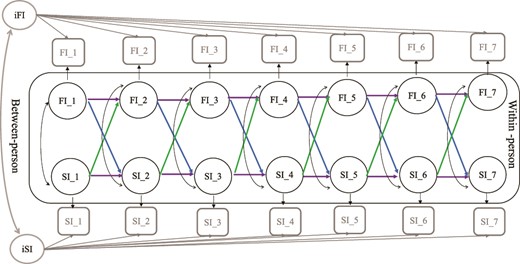 Graphical representation of the random-intercept cross-lagged panel model of social isolation and frailty index across seven waves. Notes: FI = frailty index; SI = social isolation, Squares represent observed variables. Of the observed variables, latent variables at both the between and within level were created. Circles represent latent variables. The two random intercepts (iFI and iSI) reflect the between-person variances for social isolation and frailty. The correlations between the random intercepts are represented by double arrows. The 14 latent within-person variables (FI_1–FI_7, SI_1–SI_7) reflect the within-person variances across waves 1 to 7. Factor loadings of between-person and within-person variables were constrained to 1. Double-headed arrows represent covariances. Autoregressive paths are represented by horizontal arrows, and cross-lagged paths are represented by diagonal arrows.